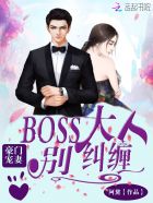 豪门宠妻boss大人别纠缠 小说